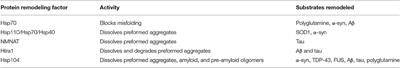 Protein-Remodeling Factors As Potential Therapeutics for Neurodegenerative Disease